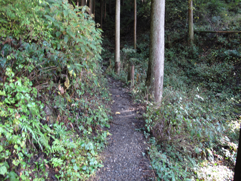20151116hike (30)